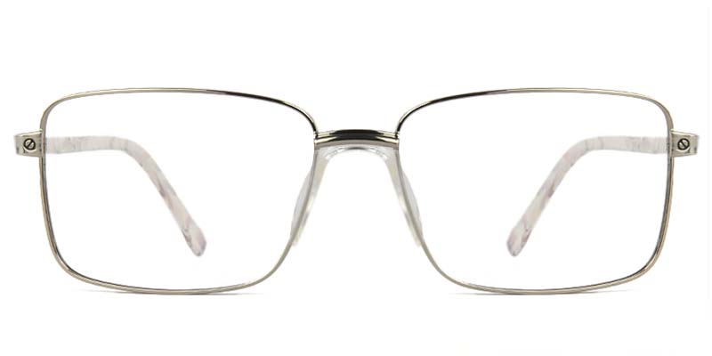 Holly Glasses Silver