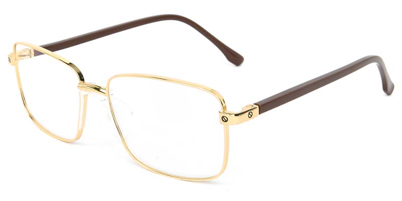Holly​ Glasses Gold_Brown