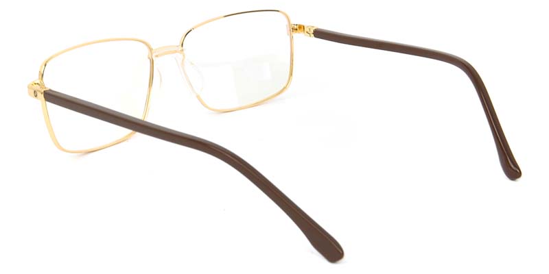 Holly​ Glasses Gold_Brown