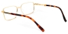 Picture of Kelp Glasses