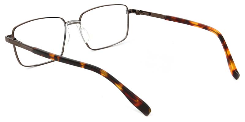 Lichen​ Glasses Brown