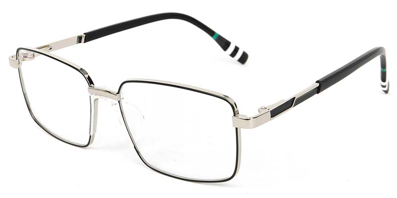 Lichen​ Glasses Silver_Black