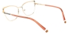 Picture of Sedge Glasses