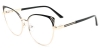 Picture of Xerophyte Glasses
