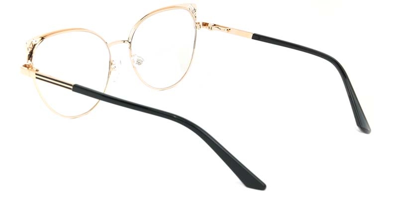 Picture of Xerophyte Glasses