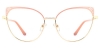 Picture of Xerophyte Glasses