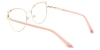 Picture of Xerophyte Glasses
