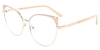 Picture of Xerophyte Glasses