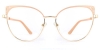 Picture of Xerophyte Glasses