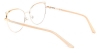 Picture of Xerophyte Glasses