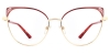 Picture of Xerophyte Glasses