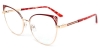 Picture of Xerophyte Glasses