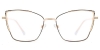 Picture of Dawn Glasses