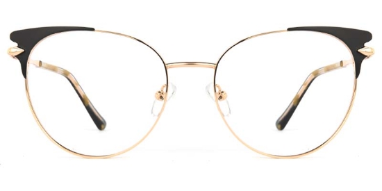 Echo Glasses