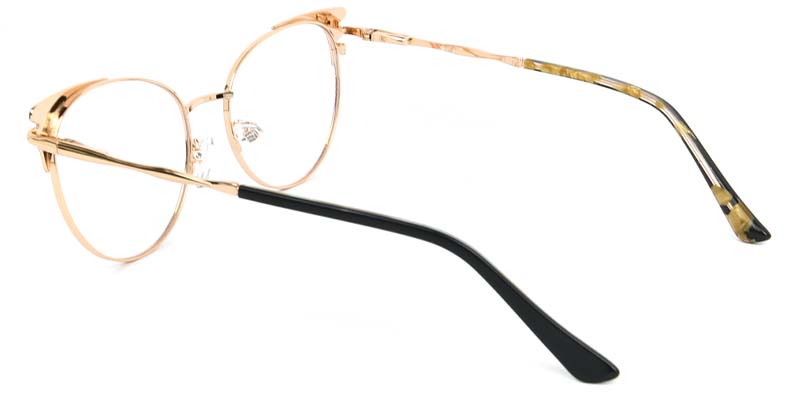 Echo​ Glasses Black