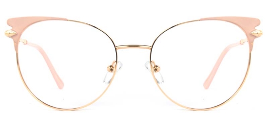 Echo Glasses