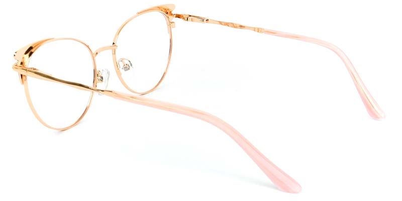 Picture of Echo Glasses