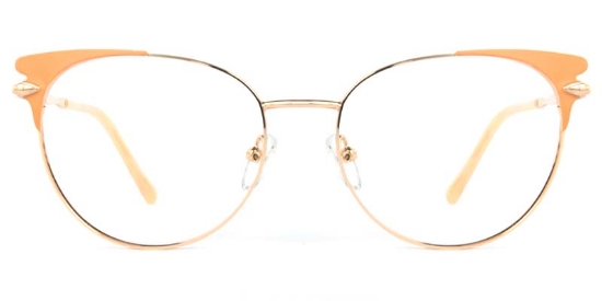 Echo Glasses