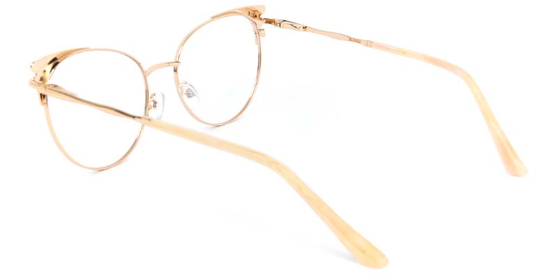 Echo​ Glasses Orange