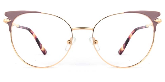 Echo Glasses