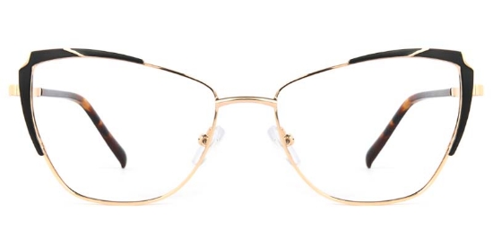 Flux Glasses