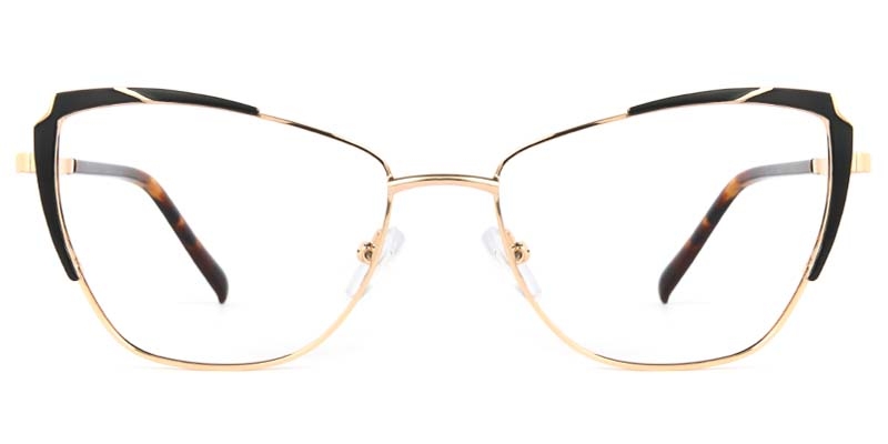 Picture of Flux Glasses