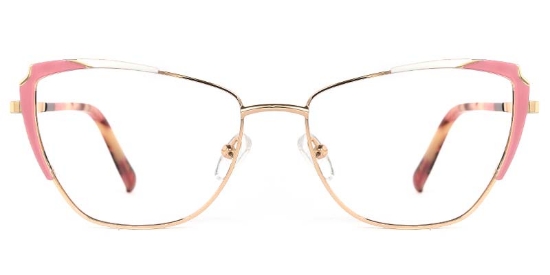 Flux Glasses