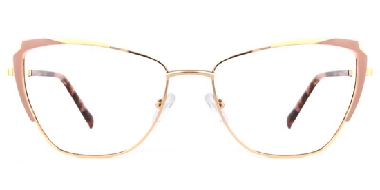 Flux Glasses