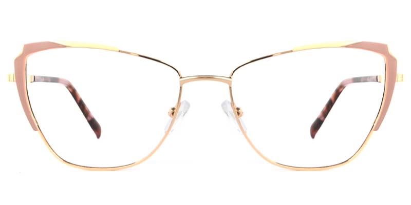 Picture of Flux Glasses