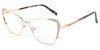 Picture of Flux Glasses