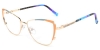 Picture of Flux Glasses