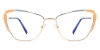 Picture of Flux Glasses