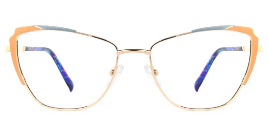 Flux Glasses