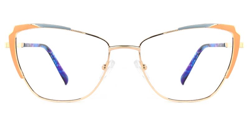 Picture of Flux Glasses