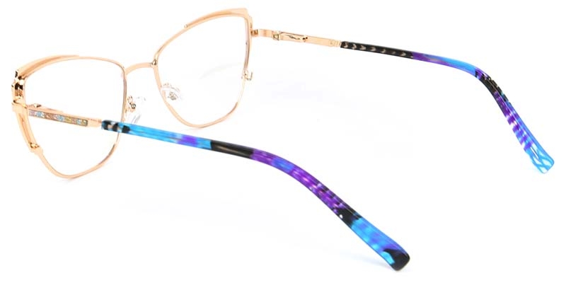 Picture of Flux Glasses