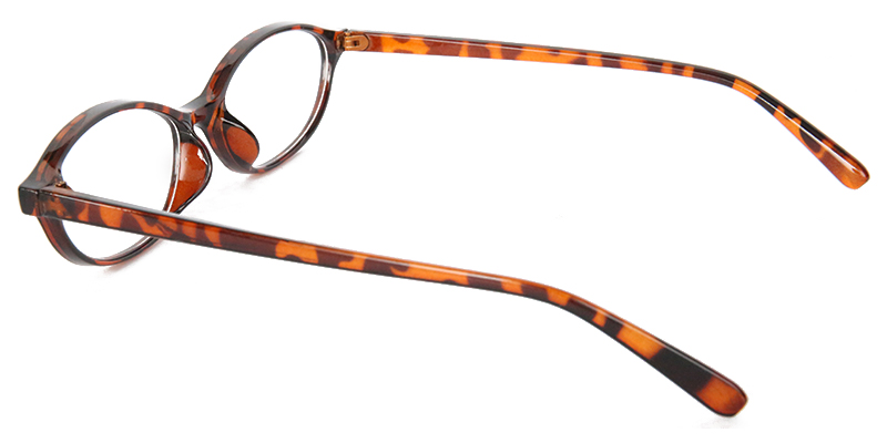 Prairie Glasses Tortoise