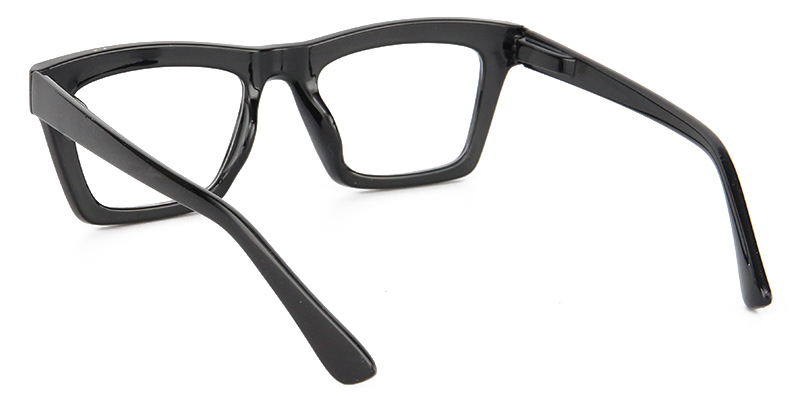 Lark Glasses Black