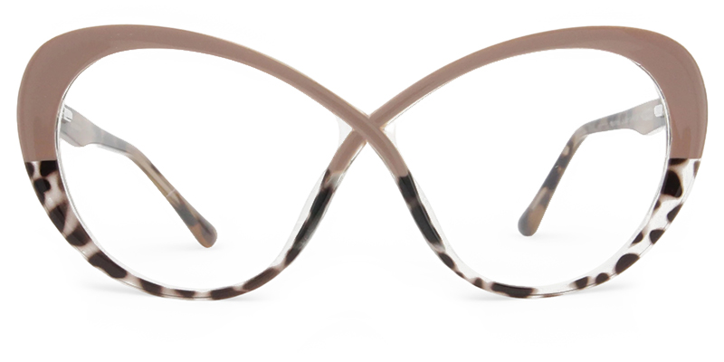 wr87189  Brown_Tortoise