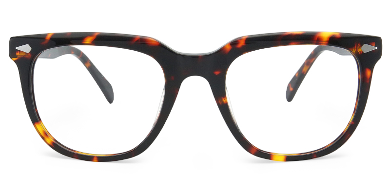 Wave Glasses Tortoise