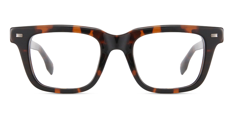Fun Glasses Tortoise