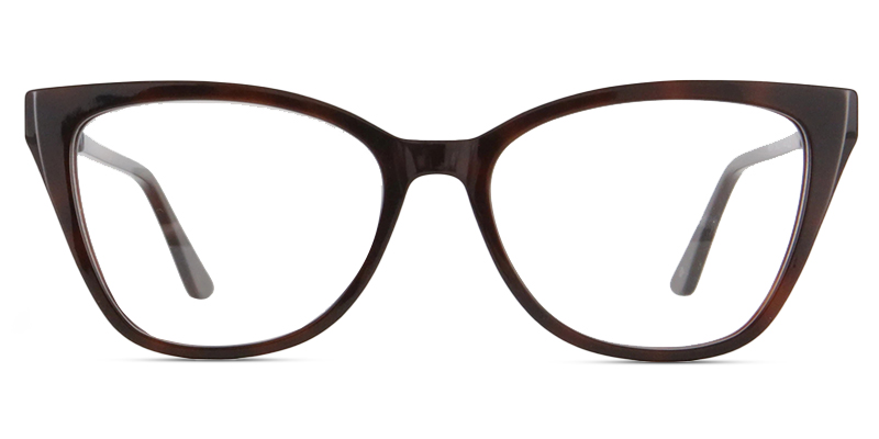 Focus Glasses Tortoise