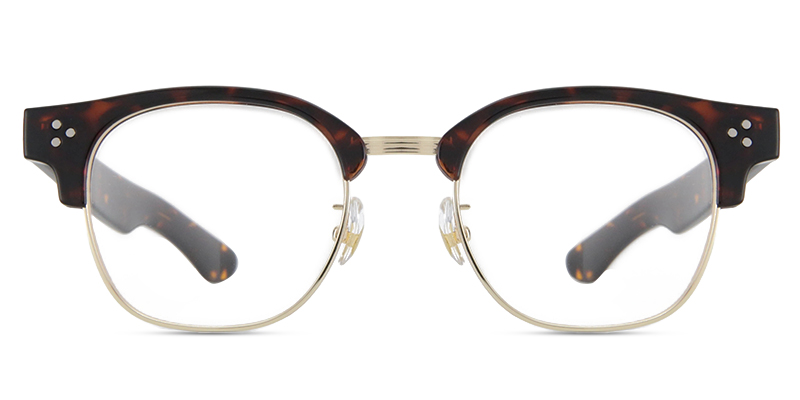 Dylen Glasses Tortoise