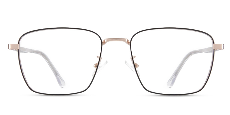 Picture of Lorin Glasses