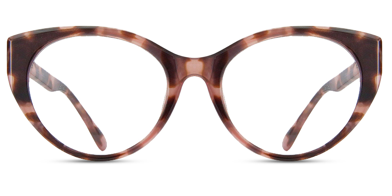 Rorin Glasses Tortoise