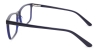 Picture of Alpine Glasses