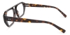 Picture of Zander Glasses