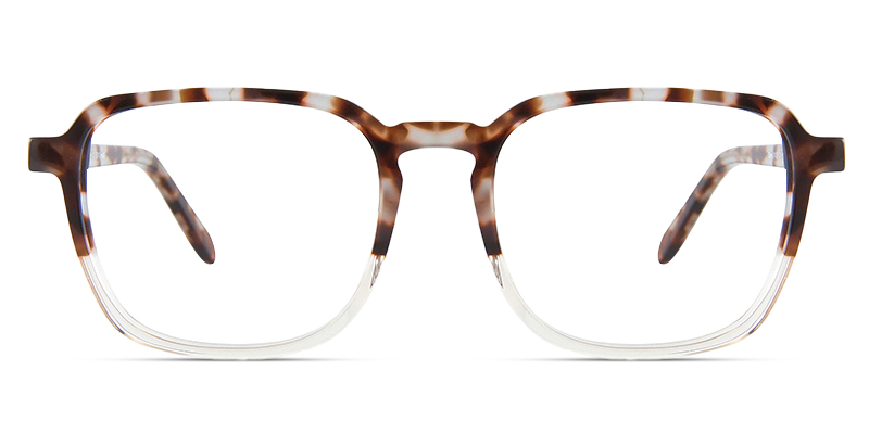 Amelis Glasses Tortoise_Transparent