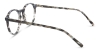 Picture of Elaris Glasses