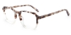 Picture of Amelis Glasses