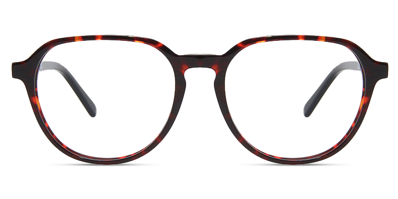 Fioris Glasses Tortoise_Black